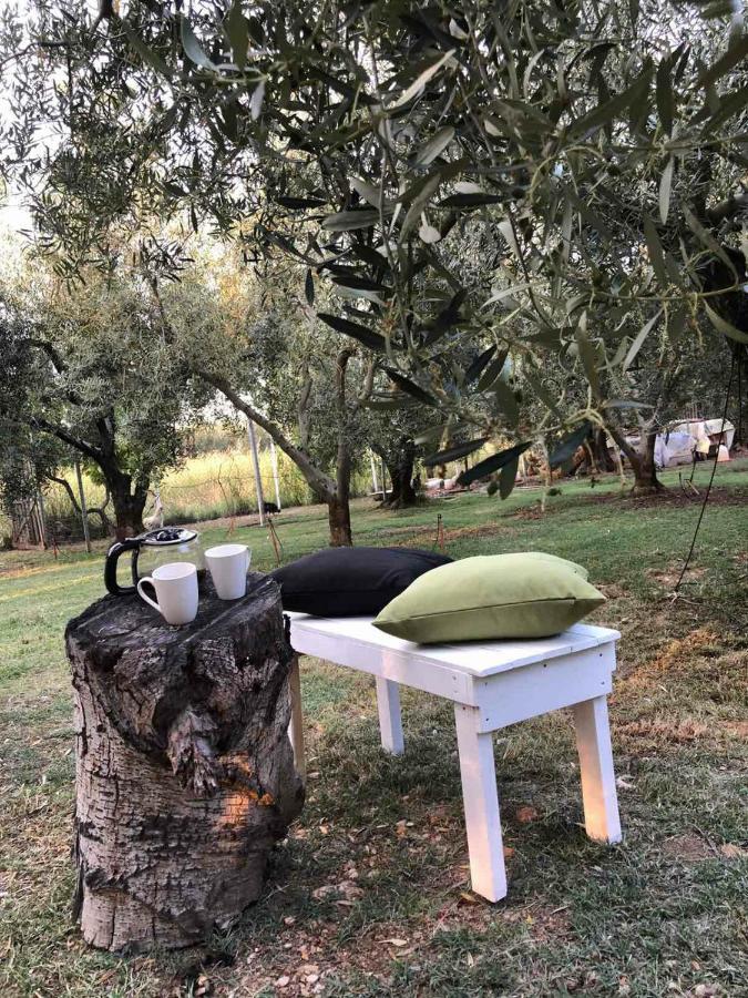 Green Olive Studios 2 Ájiosz Mámasz Kültér fotó