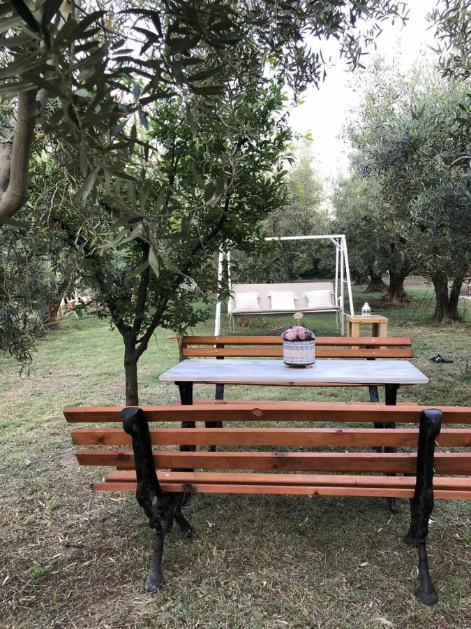 Green Olive Studios 2 Ájiosz Mámasz Kültér fotó